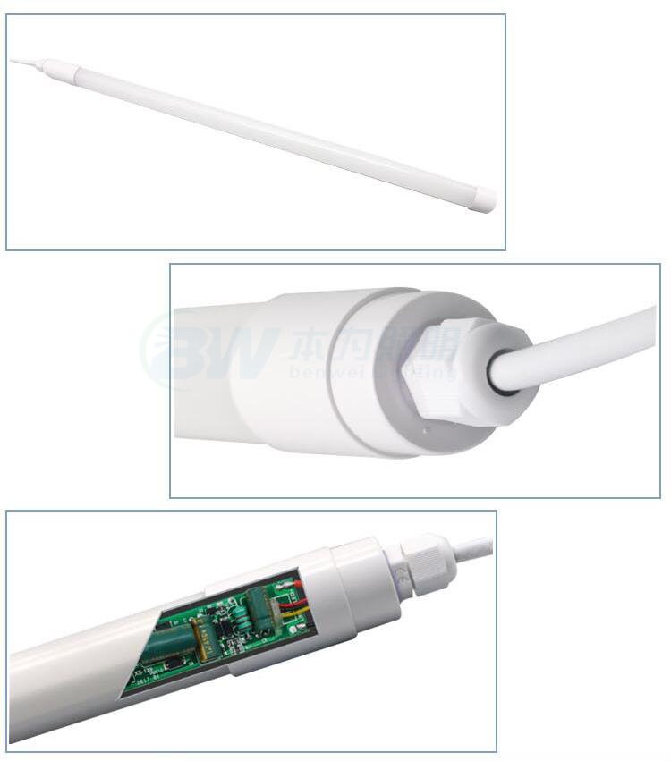 light in chicken coop at night light in chicken coop at night