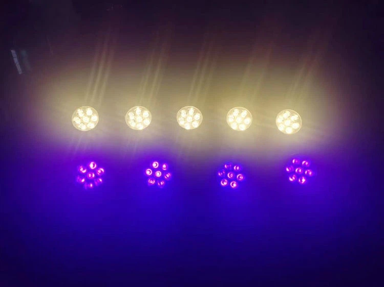 t8 black light bulb 48