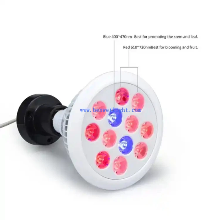 PAR38 36W Bulb LED Grow Lights 1 PAR38 36W Bulb LED Grow Lights 1