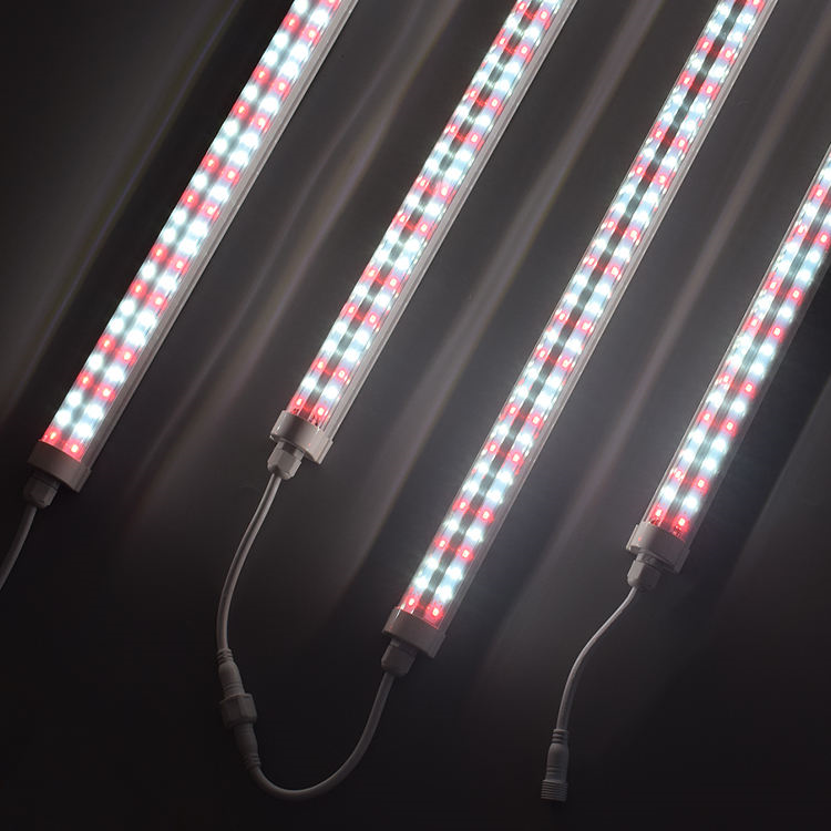 luz para plantas indoor luz para plantas indoor
