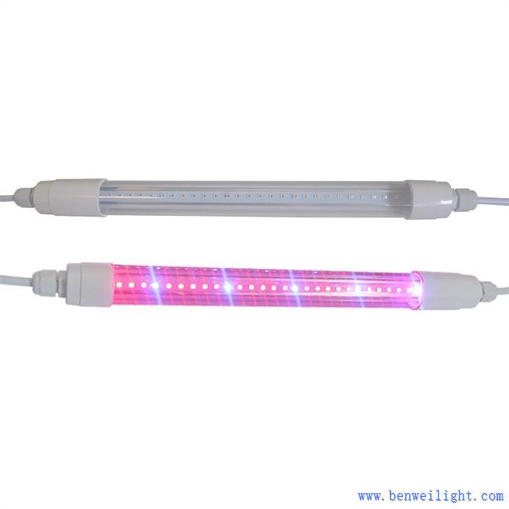 grow light kits for seed startin