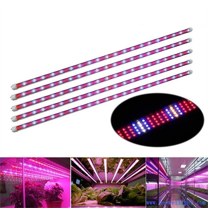 가벼운 안경을 키우십시오