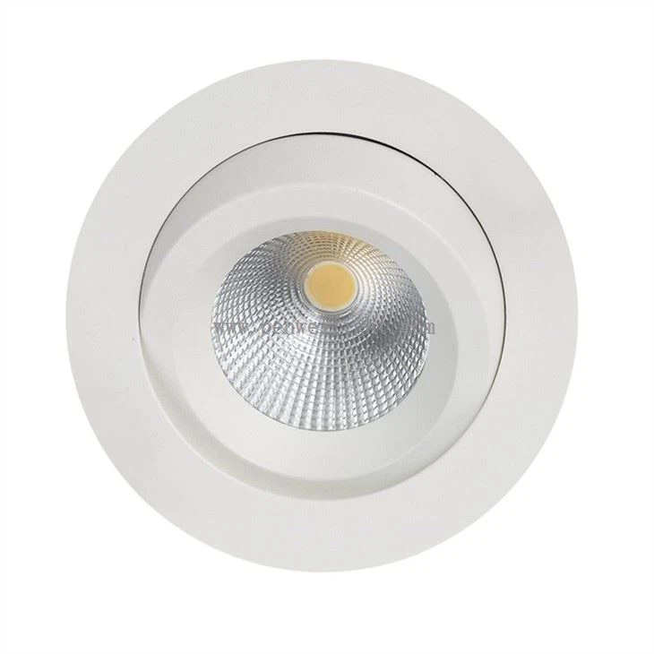 ip65 adjustable LED downlight