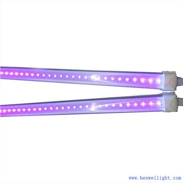 UV 2400mm Led 튜브