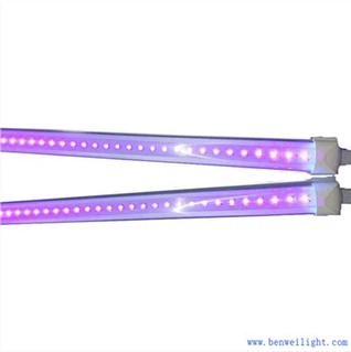 UV 2400mm Led 튜브