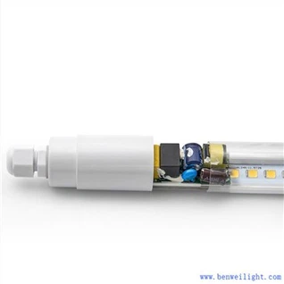 가벼운 강철 가금류 창고