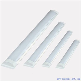 선형 주도 성장 조명