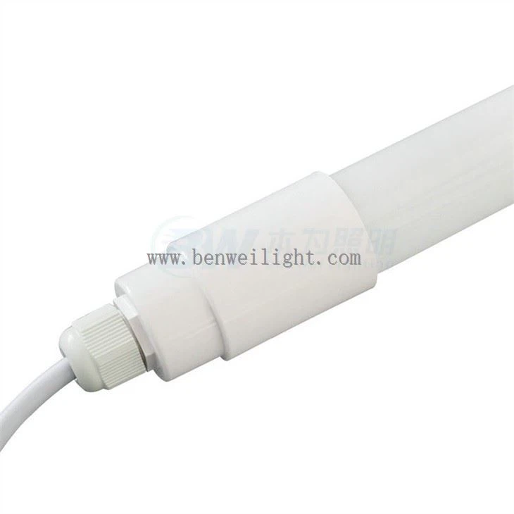 가금류 조명을 제대로 하고 있습니까?