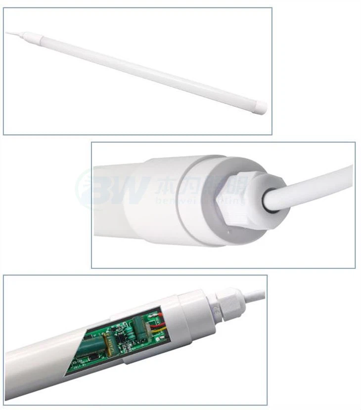 개를 위한 브루더 램프