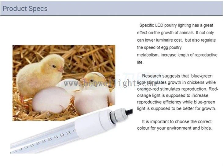 LED 가금류 집 조명, 실내 야외 헛간 조명