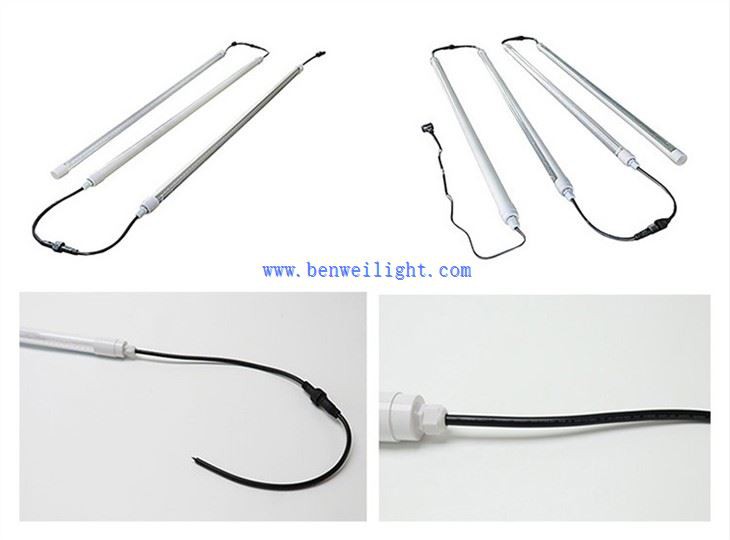 Poultry house lighting