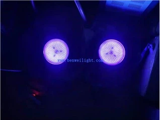 365nm 100w 200w 500w Uv Led 블랙 라이트