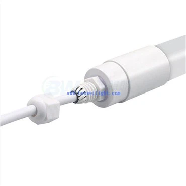 치킨 브루더 전구