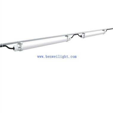 돼지 복지 및 성능에 대한 조명 기술의 효과