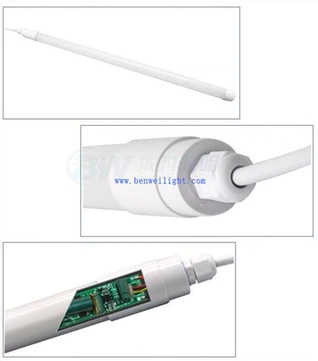 가금류 생산의 LED 조명