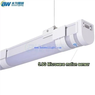 트라이 증명 주도