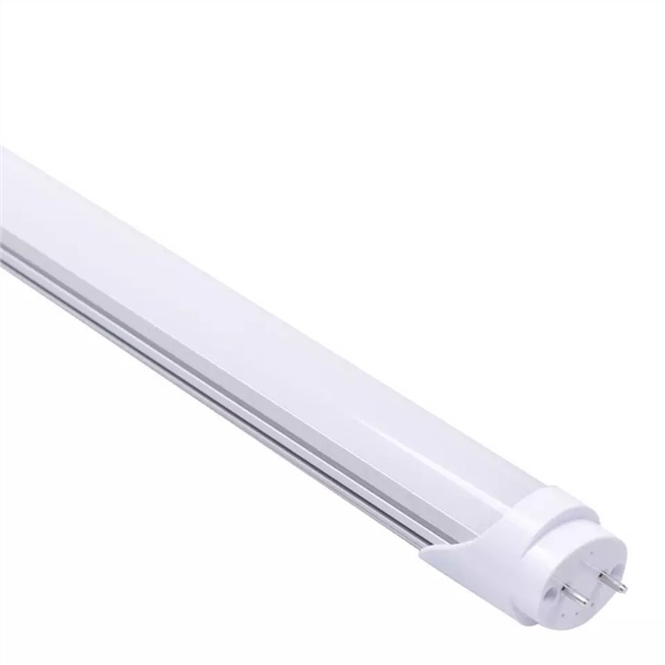 T8 Fluorescent Replacement Bulb