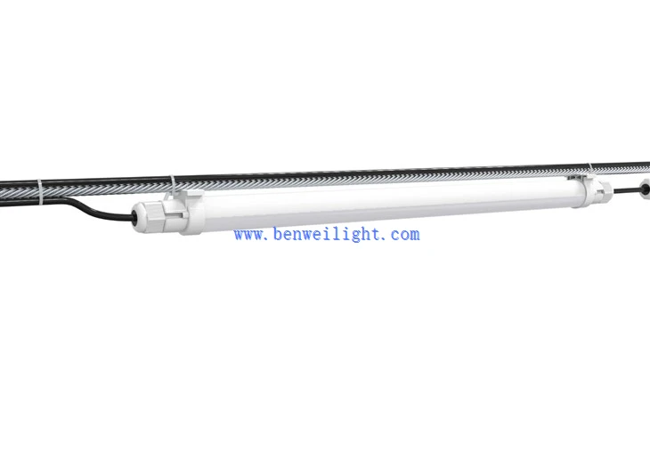 poultry house lighting systems