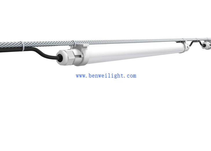poultry house lighting