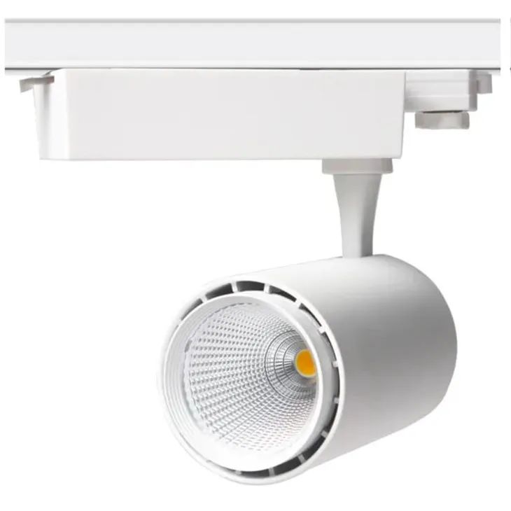 핑크 컬러 푸드 트랙 라이트