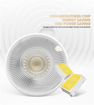 15w Dimmable Led Par30 스포트라이트