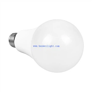 A19 3000k LED 전구