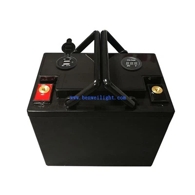 리튬 이온 배터리 12v 100ah
