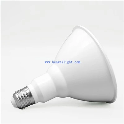 PAR38 야외 홍수 LED 전구
