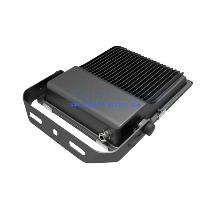 RGBCW Flood Light factory