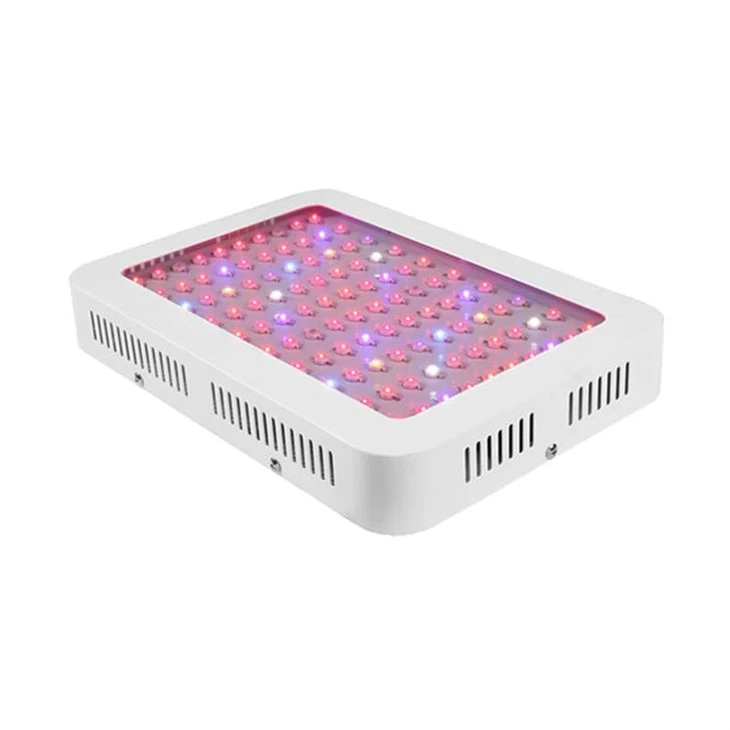 1000Watt 전체 스펙트럼 이중 스위치 Veg Bloom Led 성장 빛