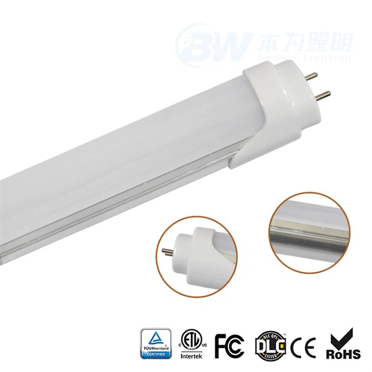 6000K LED T8 튜브 조명
