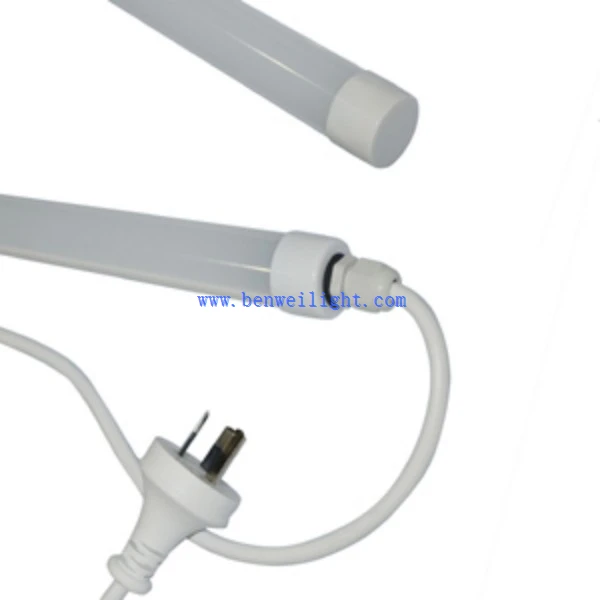 Coop Lighting (1)