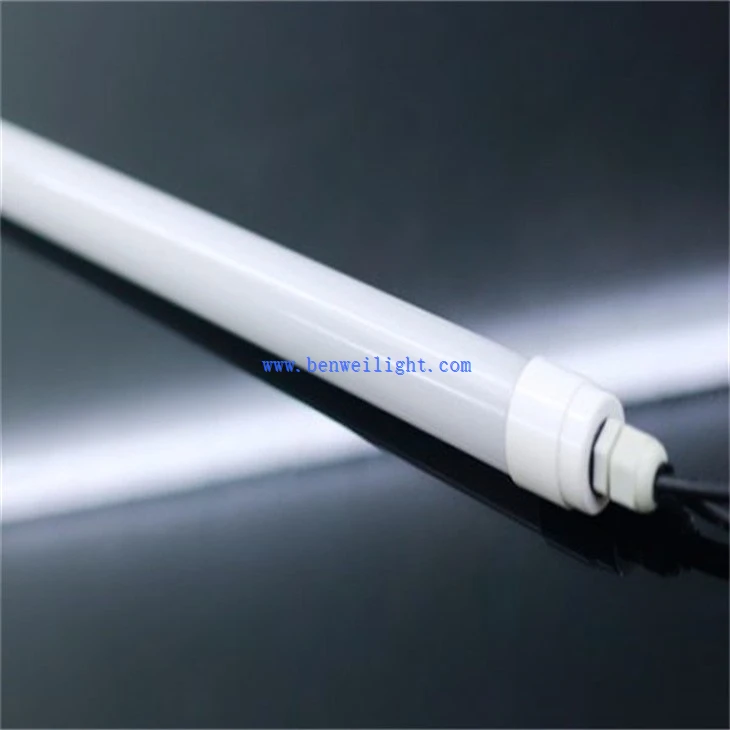 Coop Lighting (5)