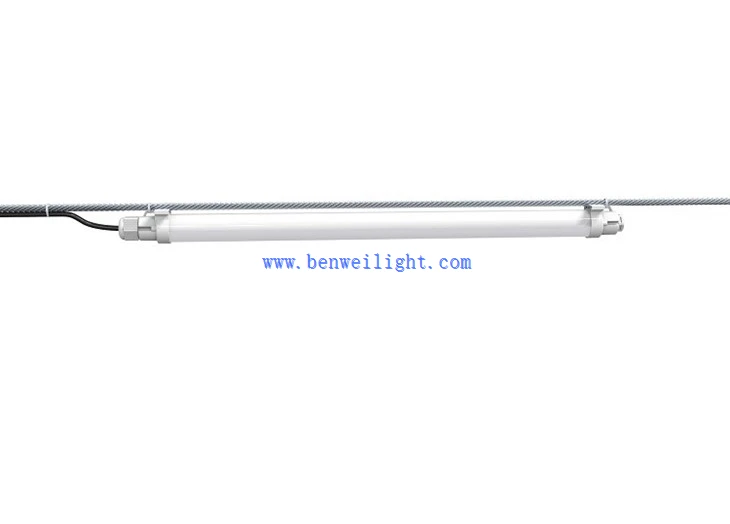 tomato grow light