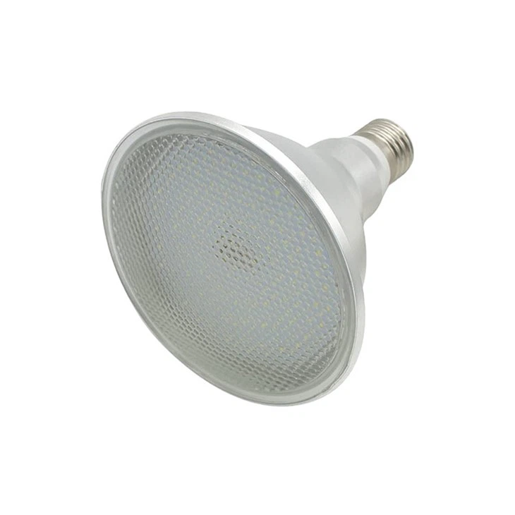 LED PAR30 플러드라이트 전구