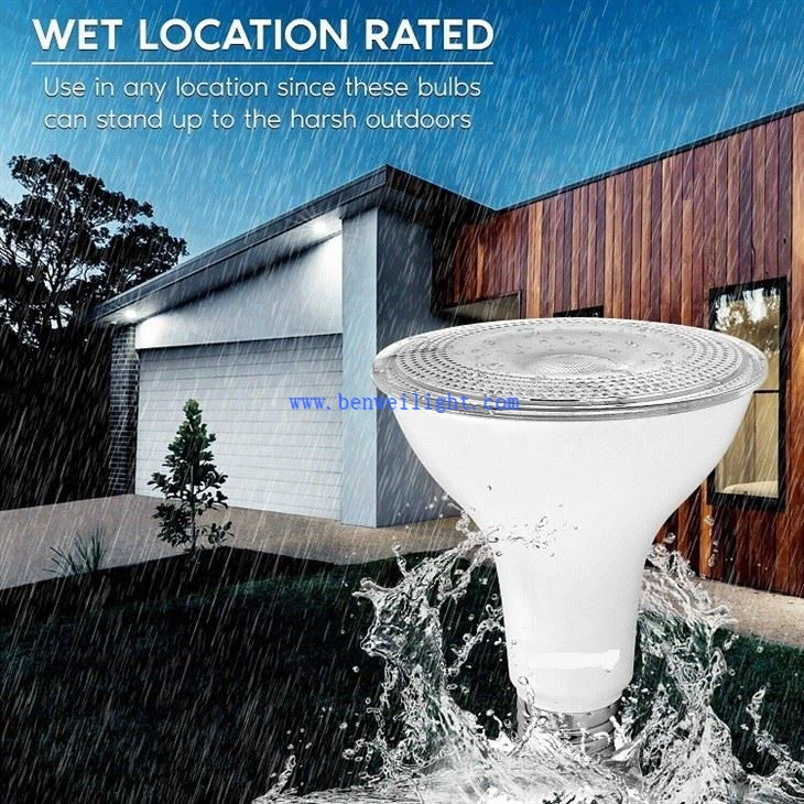 PAR30 Flood Light Bulb 1