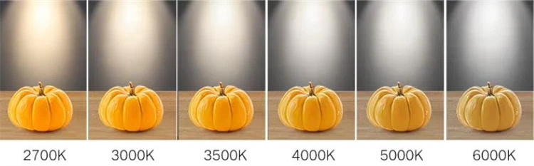product-750-233