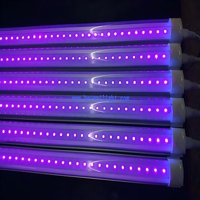 UV 라이트 블랙 라이트 25W