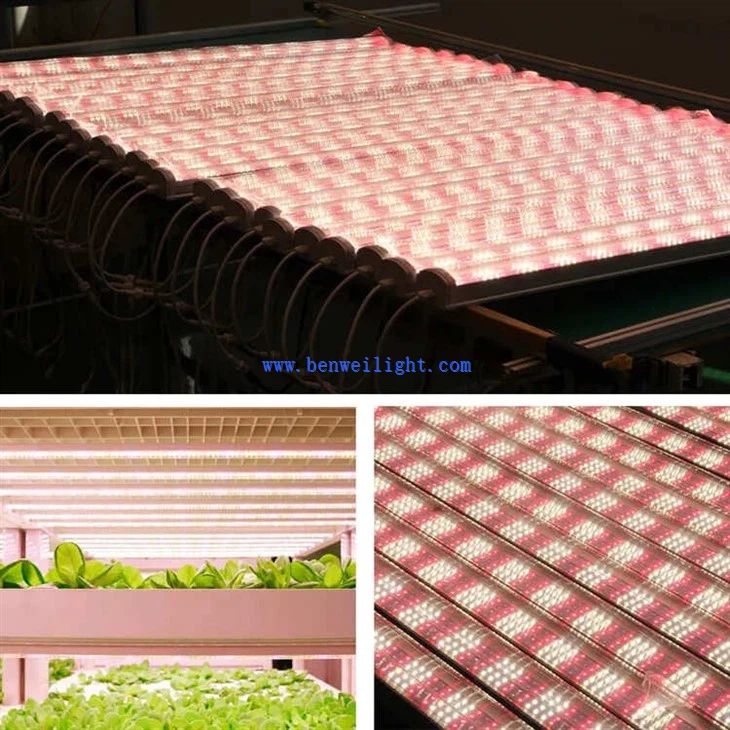 T20 LED Plant grow light 5